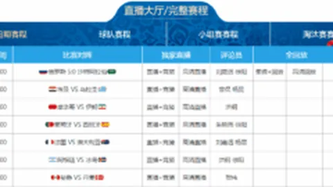 赵丽娜分享足球公益经历于中国网络媒体论坛